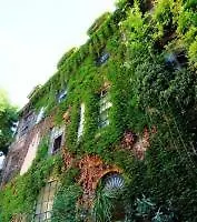 ** Bed and breakfast Margutta 54 Luxury Suites Roma Italia